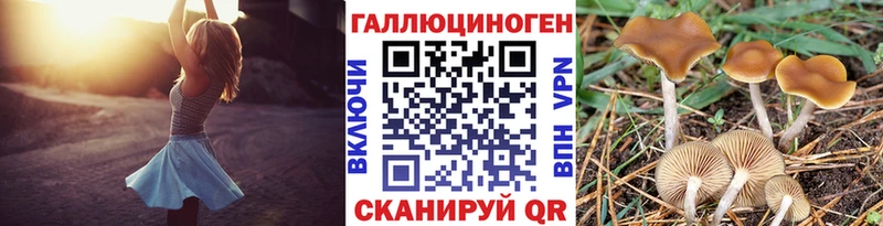 Галлюциногенные грибы Cubensis  Комсомольск 